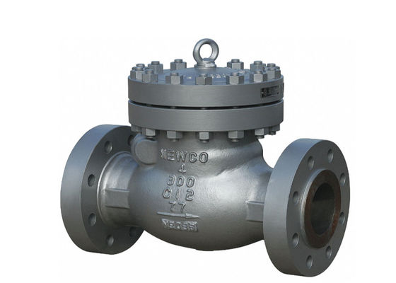 ASME B16.34 এবং API 6D ANSI ফ্ল্যাঞ্জ বোল্টেড বনেট 316 স্টেইনলেস স্টিল সুইং চেক ভালভ