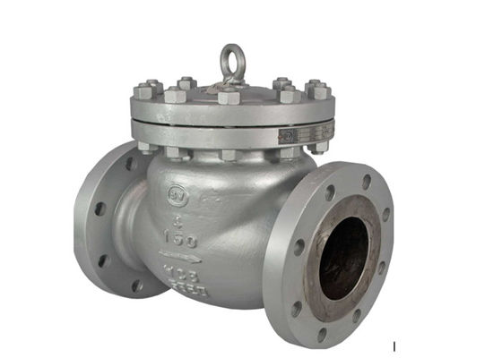 ASME B16.34 এবং API 6D ANSI ফ্ল্যাঞ্জ বোল্টেড বনেট 316 স্টেইনলেস স্টিল সুইং চেক ভালভ