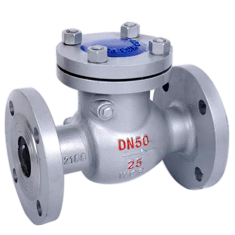 ASME B16.34 এবং API 6D ANSI ফ্ল্যাঞ্জ বোল্টেড বনেট 316 স্টেইনলেস স্টিল সুইং চেক ভালভ